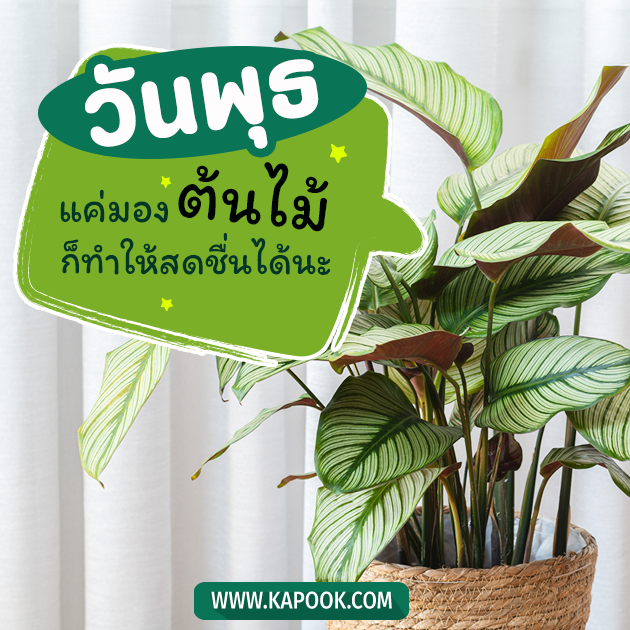 ดูดวงรายวัน 6 เมษายน 2565 ดูดวงรายวัน 6 เมษายน 2565