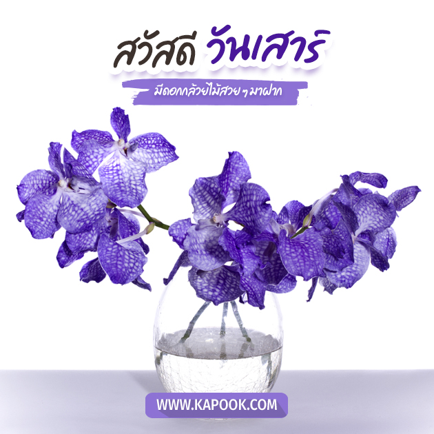 ดูดวงรายวัน 19 พฤศจิกายน 2565 ดูดวงรายวัน 19 พฤศจิกายน 2565