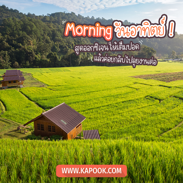 ดูดวงรายวัน 20 พฤศจิกายน 2565 ดูดวงรายวัน 20 พฤศจิกายน 2565