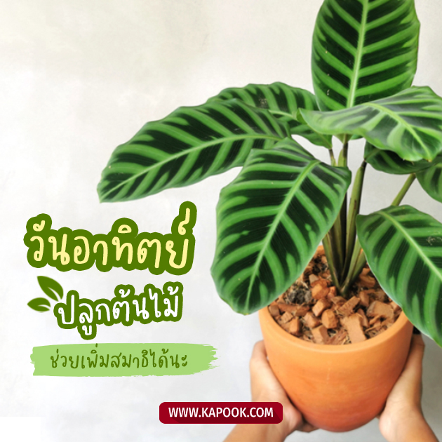 ดูดวงรายวัน 19 มิถุนายน 2565 ดูดวงรายวัน 19 มิถุนายน 2565