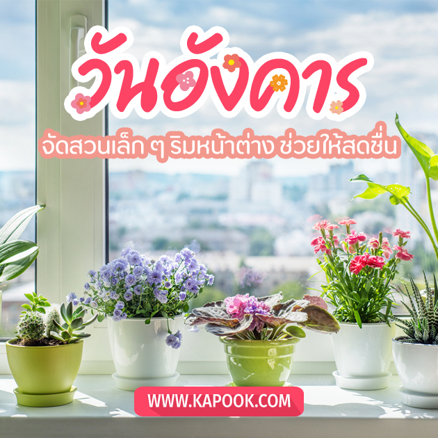 ดวงรายวัน ดวงรายวัน