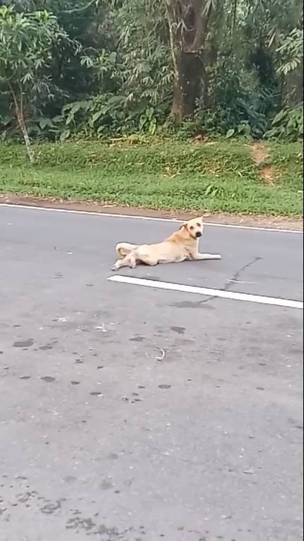 ดูจบ เช็ดน้ำตาแทบไม่ทัน ! ดูจบ เช็ดน้ำตาแทบไม่ทัน !