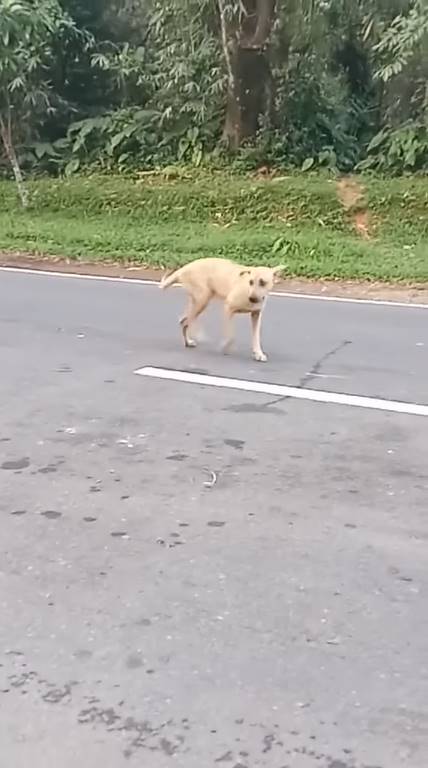 ดูจบ เช็ดน้ำตาแทบไม่ทัน ! ดูจบ เช็ดน้ำตาแทบไม่ทัน !