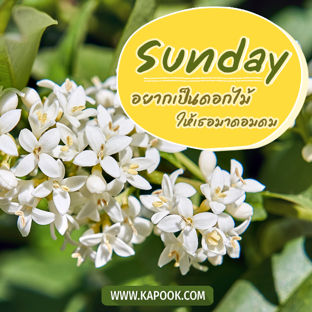 ดูดวงรายวัน วันที่ 14 สิงหาคม 2565 ดูดวงรายวัน วันที่ 14 สิงหาคม 2565