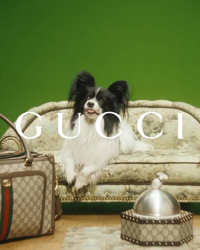 Gucci Gucci