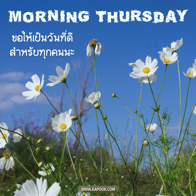 ดูดวงรายวัน วันที่ 27 มกราคม 2565 ดูดวงรายวัน วันที่ 27 มกราคม 2565