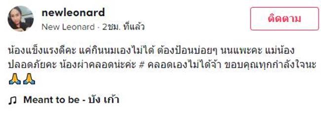 แมวประหลาด แมวประหลาด