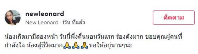 แมวประหลาด แมวประหลาด