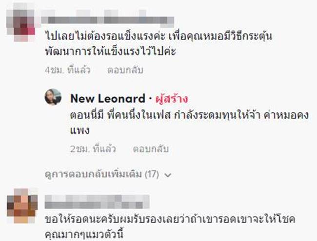 แมวประหลาด แมวประหลาด