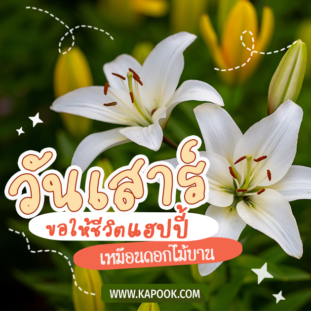 ดูดวงรายวัน วันที่ 25 มิถุนายน 2565 ดูดวงรายวัน วันที่ 25 มิถุนายน 2565