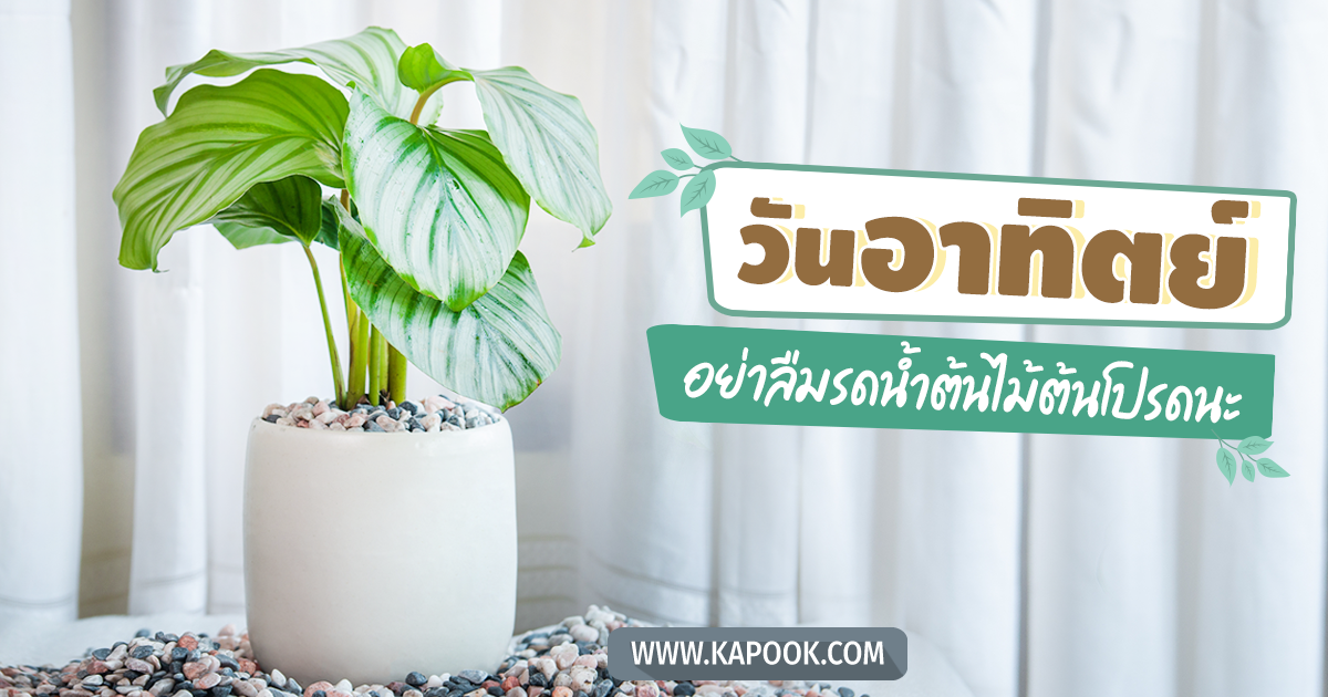 ดูดวงรายวัน วันที่ 29 พฤษภาคม 2565 ดูดวงรายวัน วันที่ 29 พฤษภาคม 2565