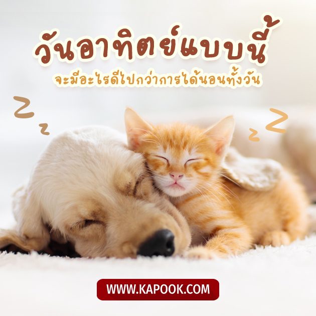 ดูดวงรายวัน วันที่ 8 พฤษภาคม 2565 ดูดวงรายวัน วันที่ 8 พฤษภาคม 2565