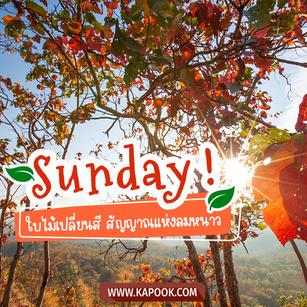 ดูดวงรายวัน วันที่ 13 พฤศจิกายน 2565 ดูดวงรายวัน วันที่ 13 พฤศจิกายน 2565