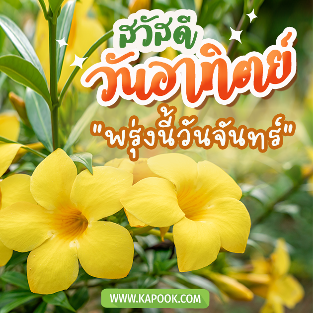 ดูดวงรายวัน วันที่ 16 ตุลาคม 2565 ดูดวงรายวัน วันที่ 16 ตุลาคม 2565