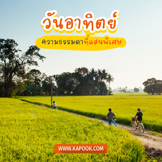 ดูดวงรายวัน วันที่ 18 กันยายน 2565 ดูดวงรายวัน วันที่ 18 กันยายน 2565