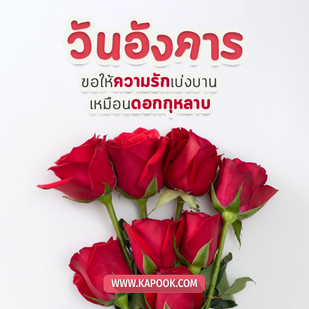 ดูดวงรายวัน วันที่ 13 กันยายน 2565 ดูดวงรายวัน วันที่ 13 กันยายน 2565