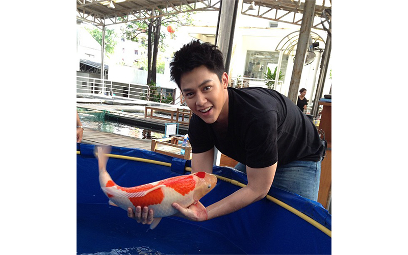 หมาก ปริญ หมาก ปริญ