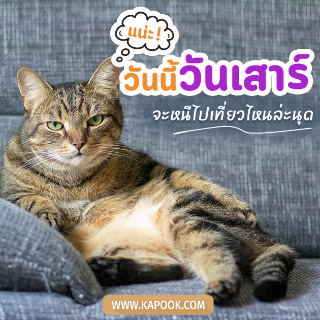 ดูดวงรายวัน ดูดวงรายวัน