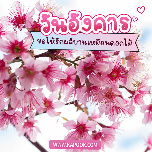 ดูดวงรายวัน ดูดวงรายวัน