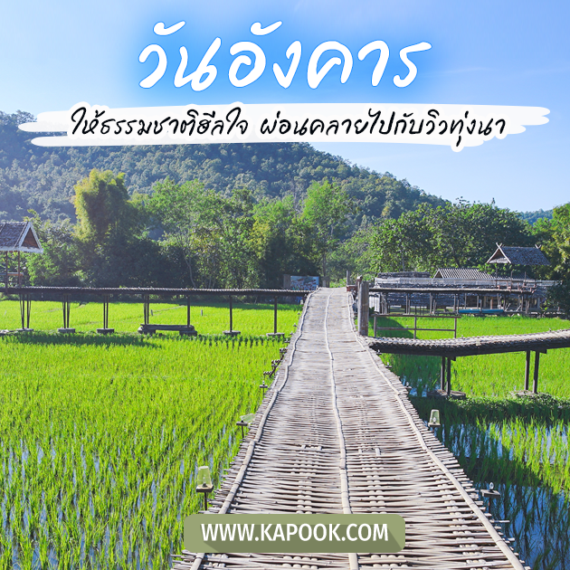 ดูดวงรายวัน ดูดวงรายวัน