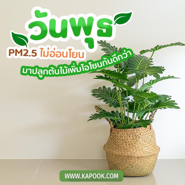 ดูดวงรายวัน ดูดวงรายวัน