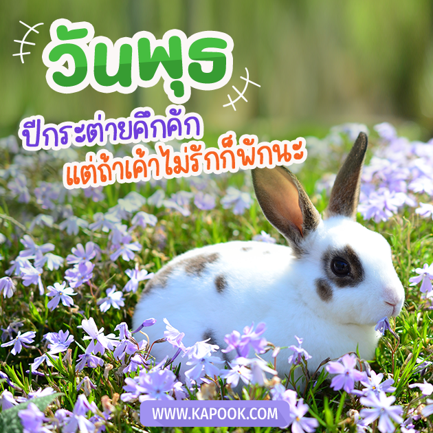 ดูดวงรายวัน ดูดวงรายวัน