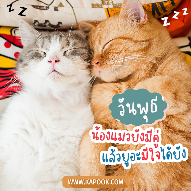 ดูดวงรายวัน ดูดวงรายวัน