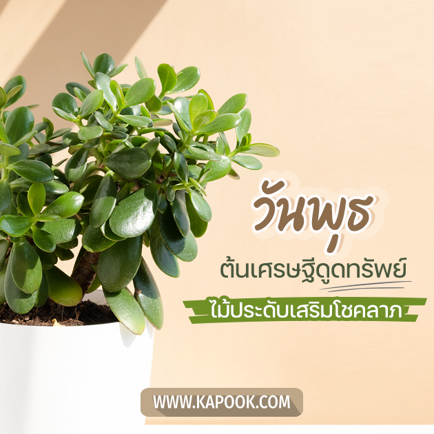 ดูดวงรายวัน ดูดวงรายวัน