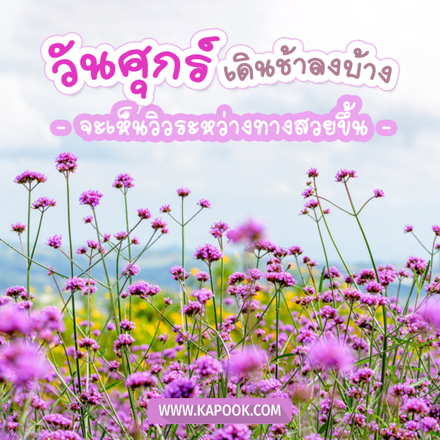 ดูดวงรายวัน ดูดวงรายวัน