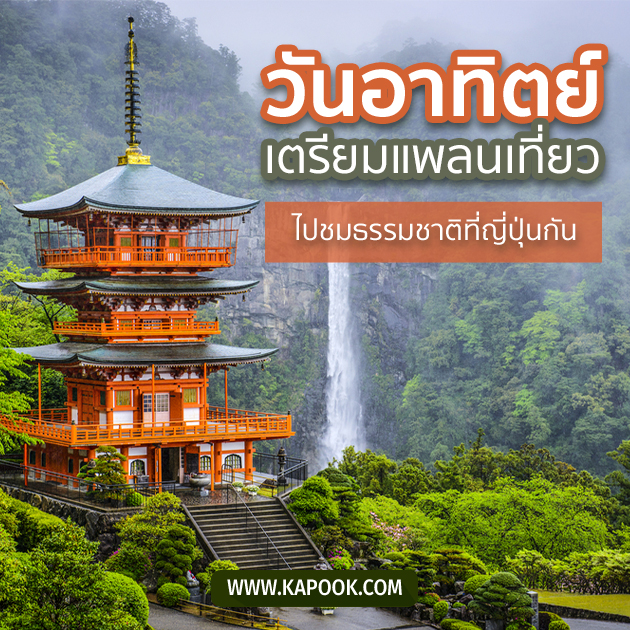 ดูดวงรายวัน ดูดวงรายวัน