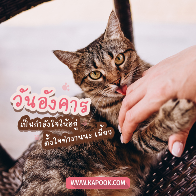 ดูดวงรายวัน ดูดวงรายวัน
