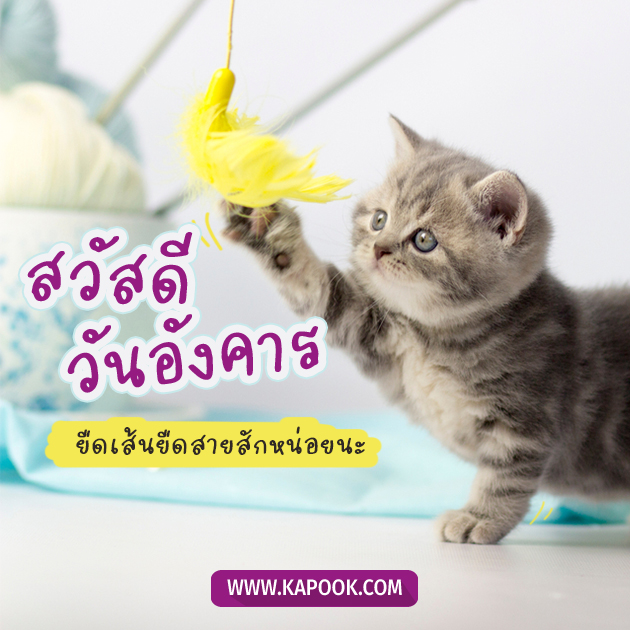 ดูดวงรายวัน ดูดวงรายวัน