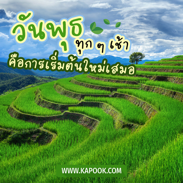 ดูดวงรายวัน ดูดวงรายวัน