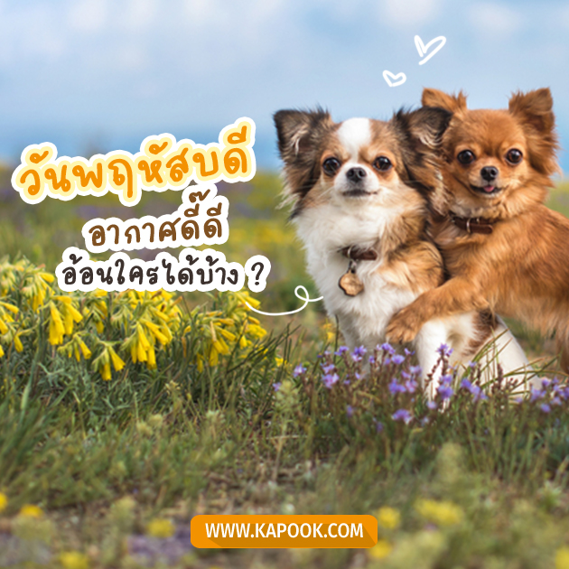 ดวงรายวัน ดวงรายวัน