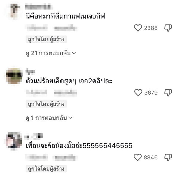 หมาสวมชุดบอดี้สูท หมาสวมชุดบอดี้สูท
