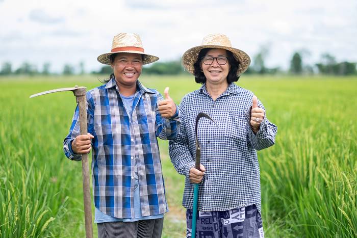 กองทุนผู้สูงอายุ กองทุนผู้สูงอายุ