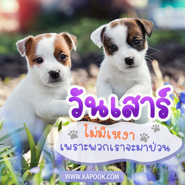 ดูดวงวันนี้ 26 สิงหาคม 2566 ดูดวงวันนี้ 26 สิงหาคม 2566