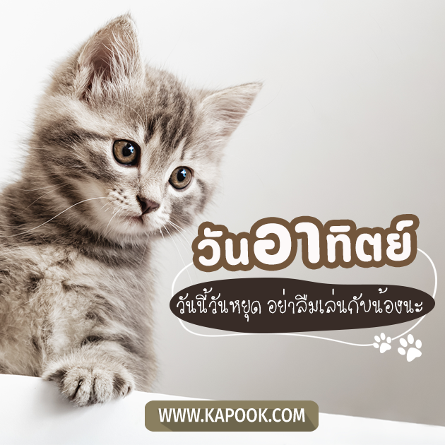 ดูดวงวันนี้ 23 เมษายน 2566 ดูดวงวันนี้ 23 เมษายน 2566