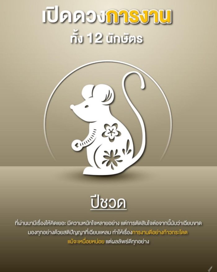 ปีนักษัตร ปีนักษัตร