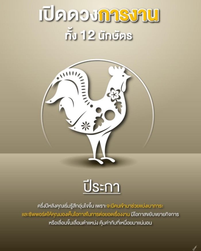 ปีนักษัตร ปีนักษัตร