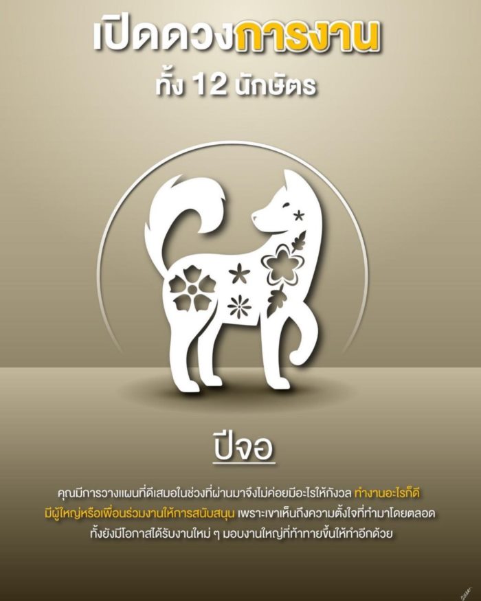 ปีนักษัตร ปีนักษัตร