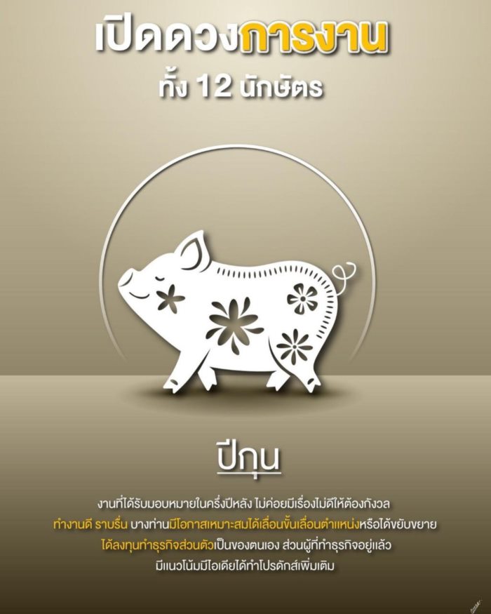 ปีนักษัตร ปีนักษัตร