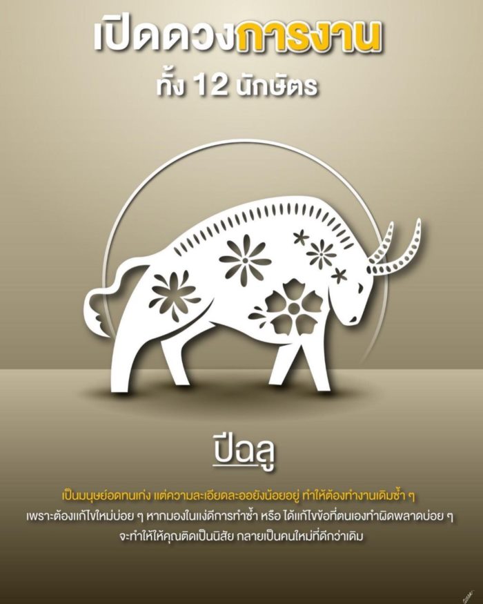 ปีนักษัตร ปีนักษัตร