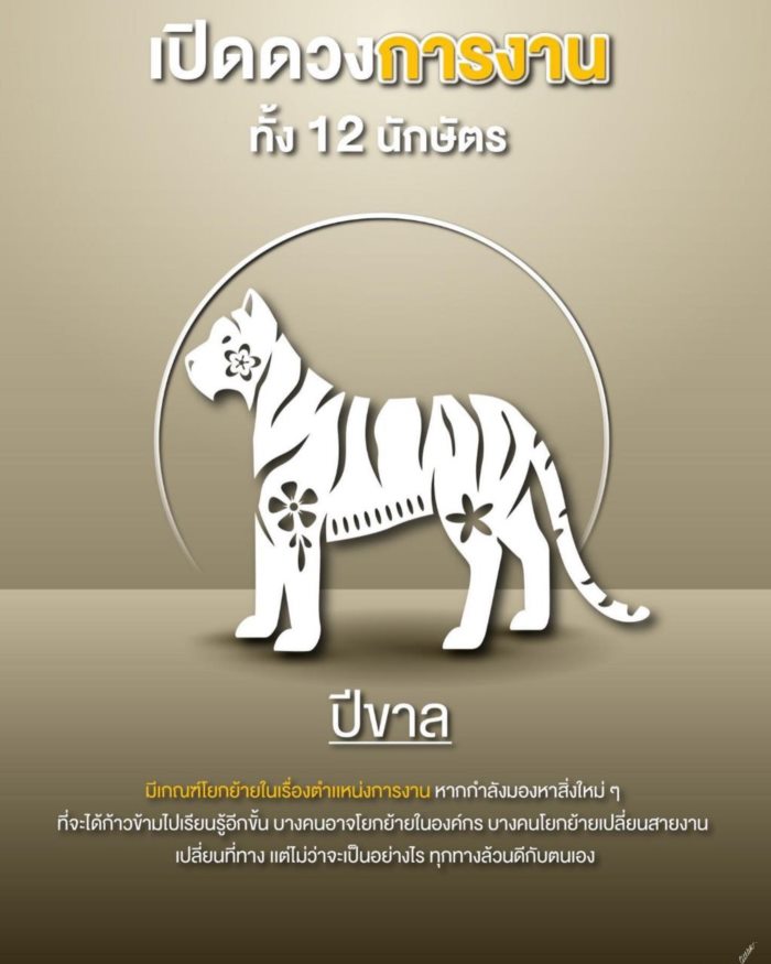 ปีนักษัตร ปีนักษัตร