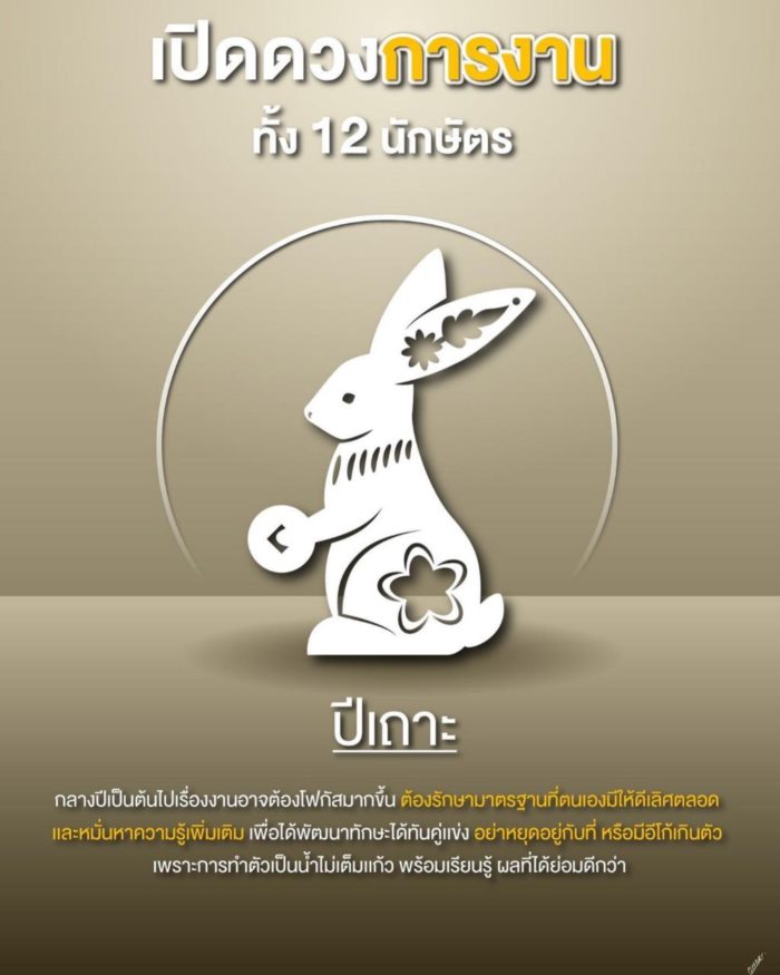 ปีนักษัตร ปีนักษัตร