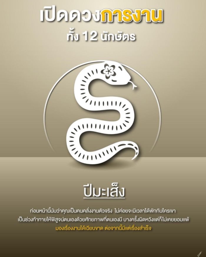 ปีนักษัตร ปีนักษัตร