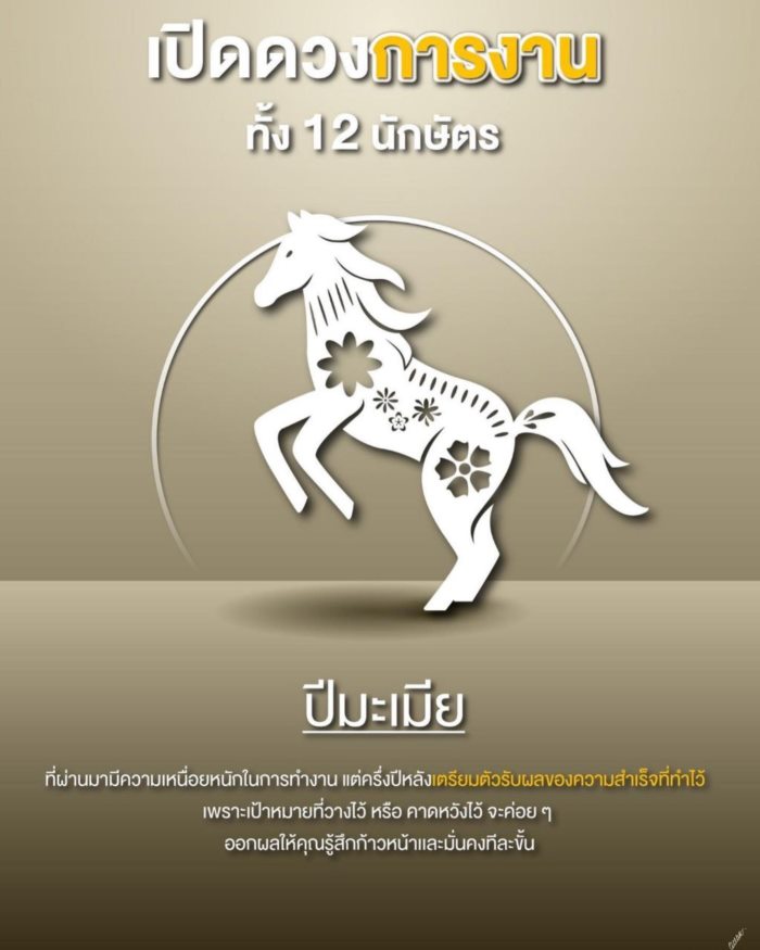 ปีนักษัตร ปีนักษัตร