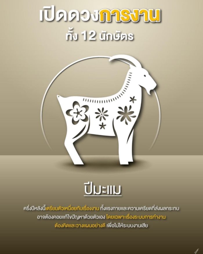 ปีนักษัตร ปีนักษัตร