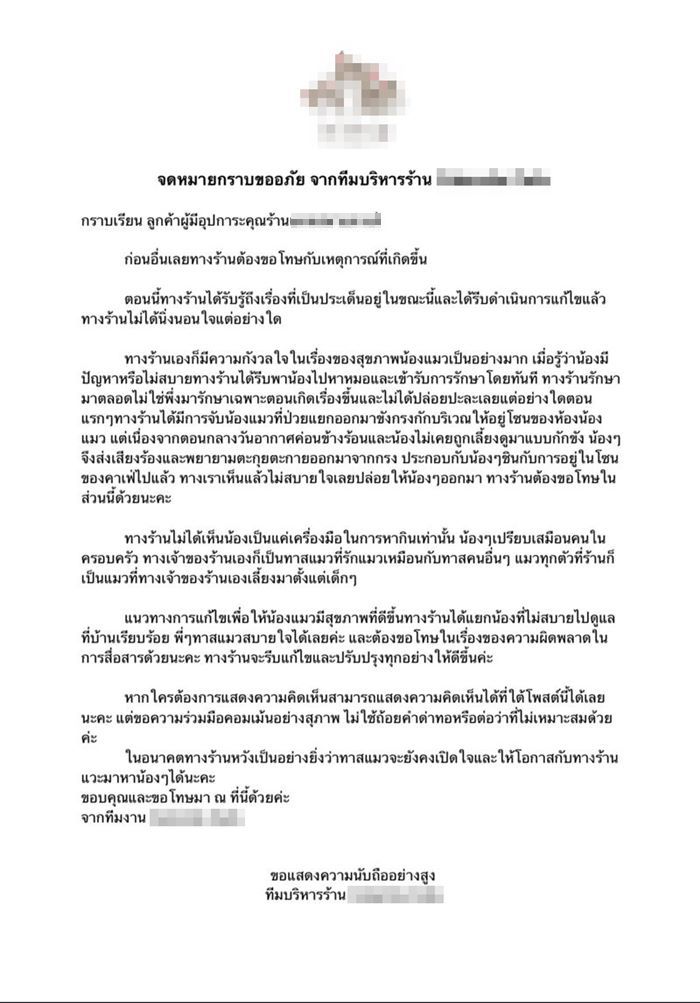 คาเฟ่แมว คาเฟ่แมว