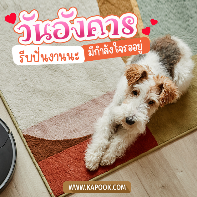 ดูดวงรายวัน วันที่ 14 กุมภาพันธ์ 2566 ดูดวงรายวัน วันที่ 14 กุมภาพันธ์ 2566